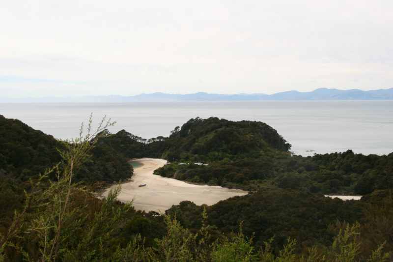 Nieuw-Zeeland 2011 - 1027